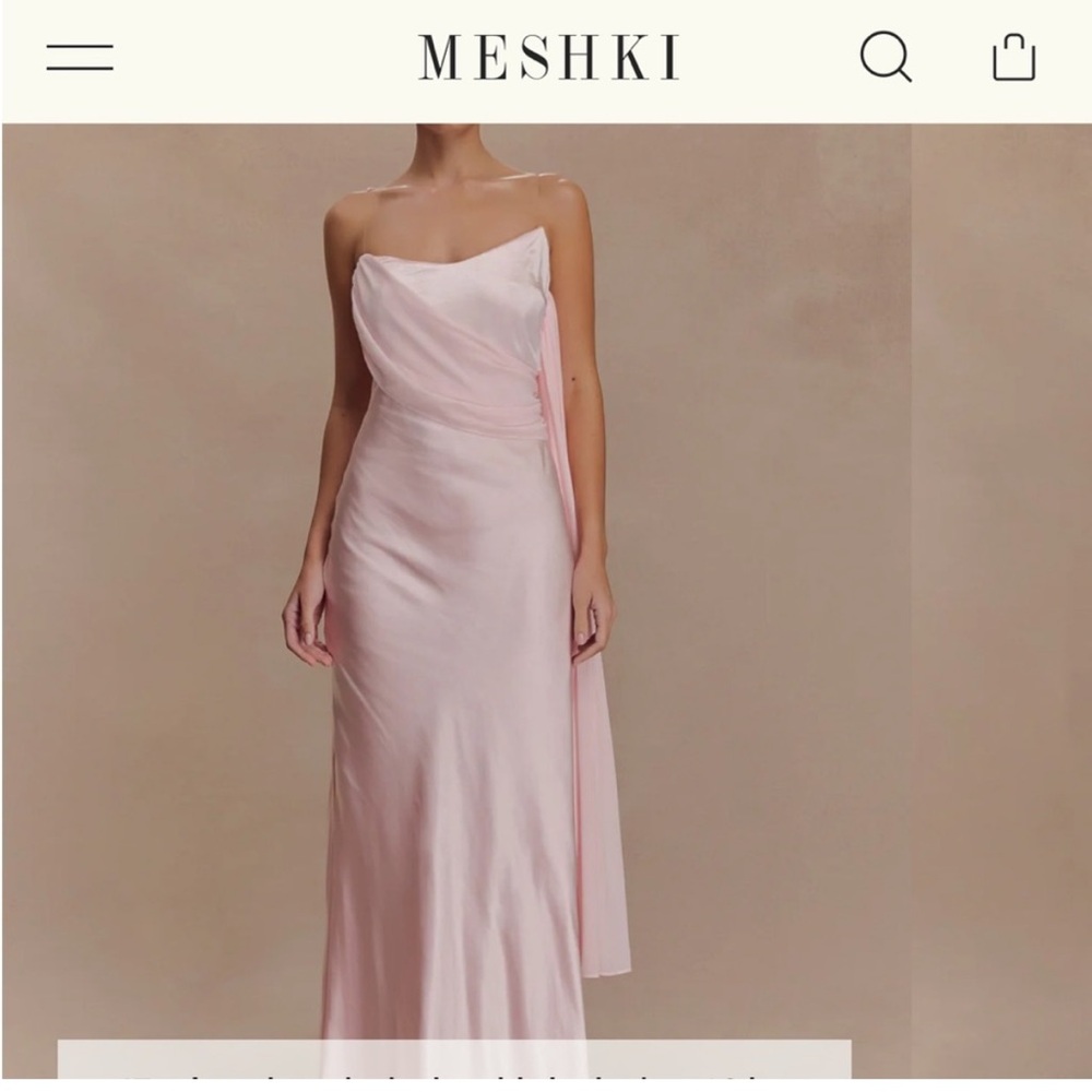 Meshki Blush Gown Bridesmaid Dress